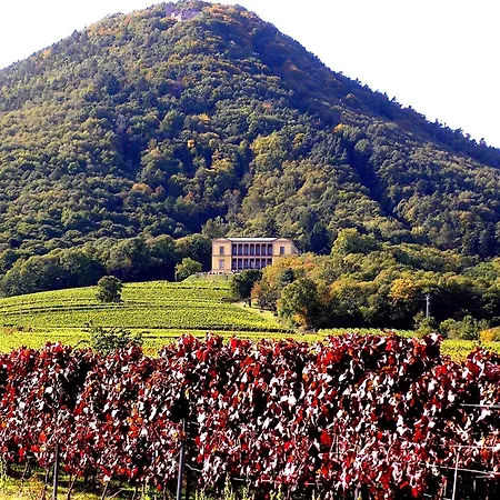 Apartamento In Ruhigem Viertel