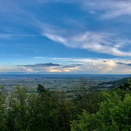 In Ruhigem Viertel Rhodt unter Rietburg