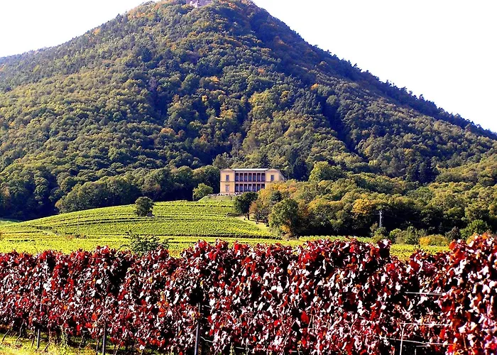 Apartamento In Ruhigem Viertel