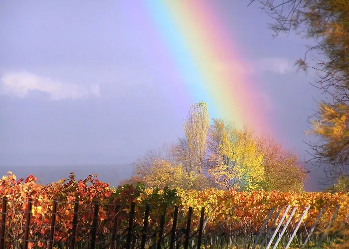 In Ruhigem Viertel Apartment