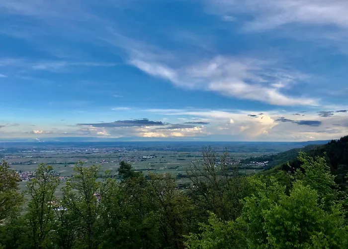 In Ruhigem Viertel Rhodt unter Rietburg