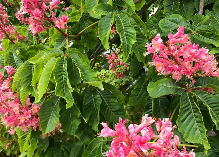 In Ruhigem Viertel Apartamento Rhodt unter Rietburg