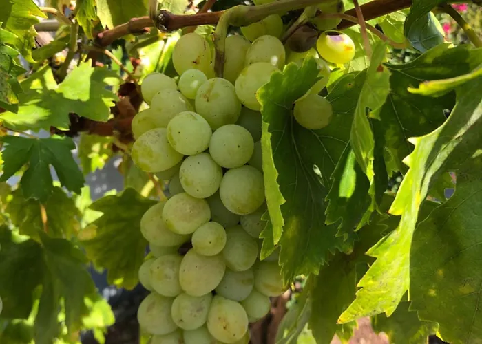 Apartamento In Ruhigem Viertel